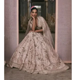 Aari And Dabka Jaal Lehenga Set