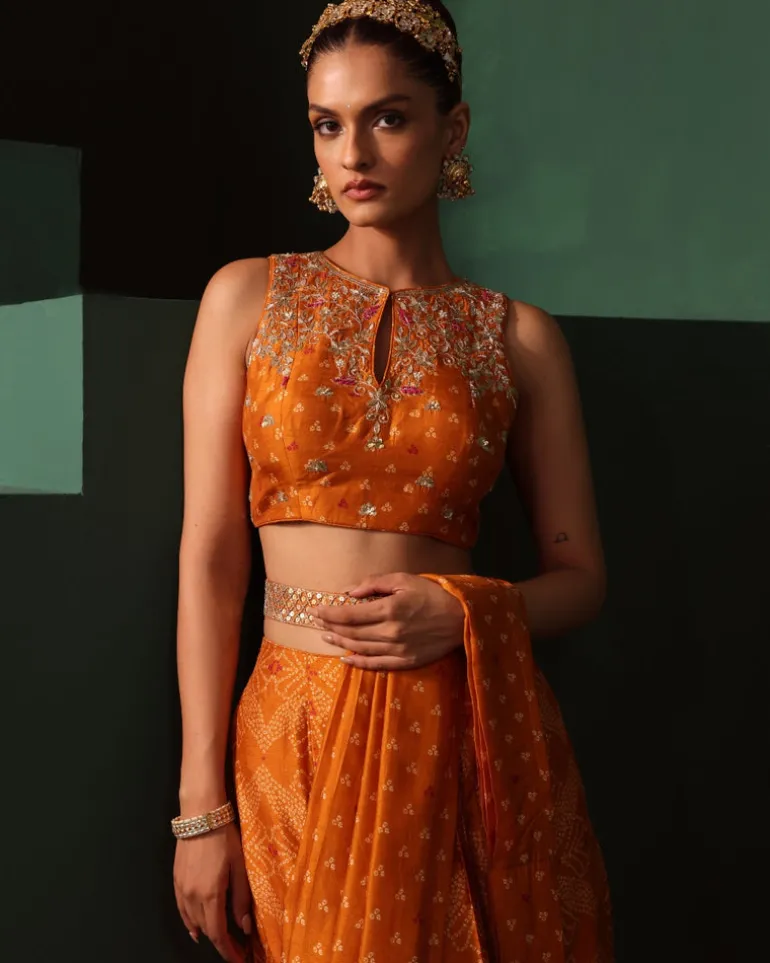 Ahana Pre-Draped Sari Set