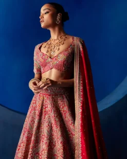 Ahvi Lehenga Set