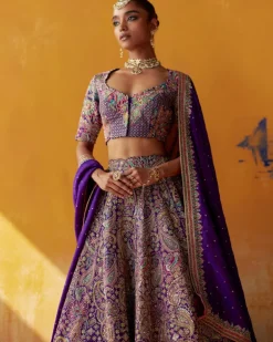 Aindri Lehenga Set