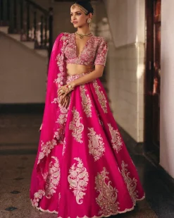 Allika Lehenga Set