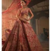 Alluring Lehenga Set