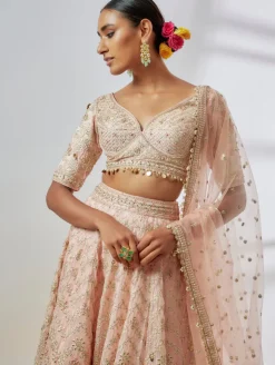 Anaya Lehenga Set