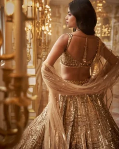 Antique Gold Embellished Lehenga Set