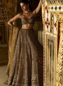 Antique Gold Sequin Lehenga Set