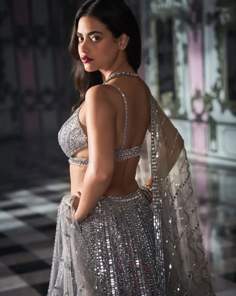 Antique Silver Mirror Work Lehenga Set