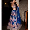 Aryahi Lehenga Set