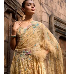 Auric Orchard Drape Sari Set
