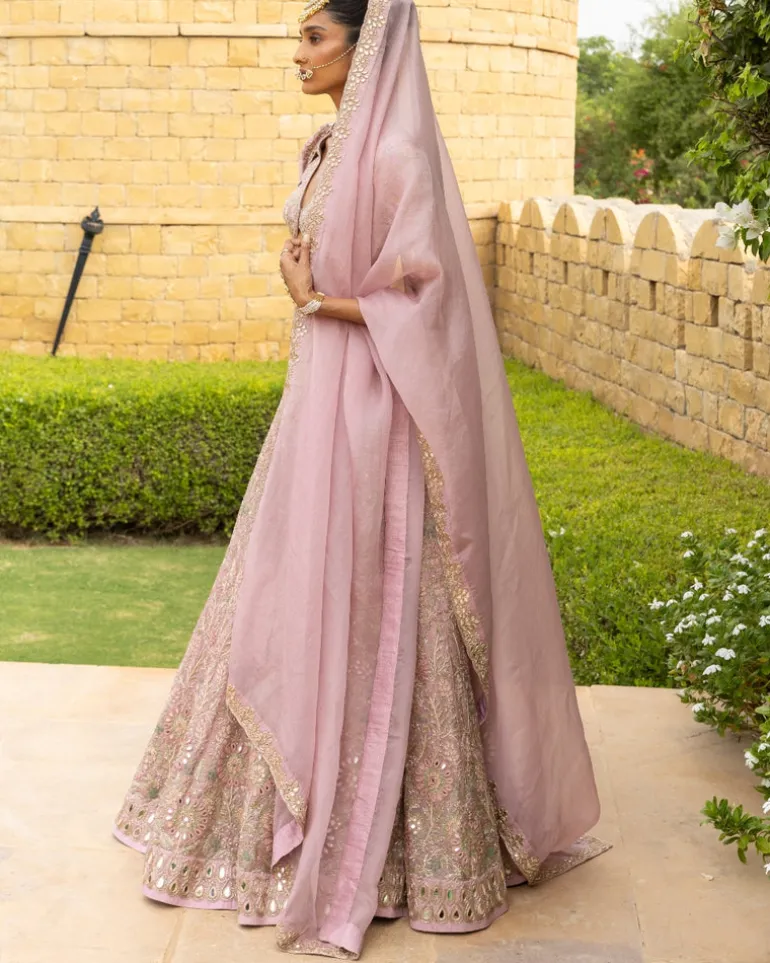 Baby Orchid Mirror & Thread Embroidered Lehenga Set