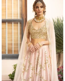 Baby Pink With Gold Jaal Work Lehenga Set