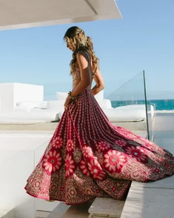 Baja Luna Lehenga