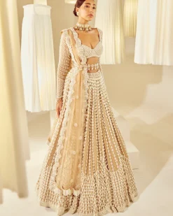 Beige Chandelier Pearl Embellished Lehenga Set