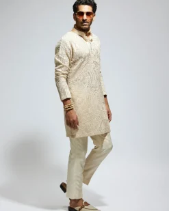 Beige Organza Embroidered Kurta Set