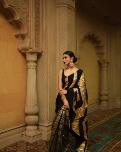 Black Bunch of Birds Crinkle Sari