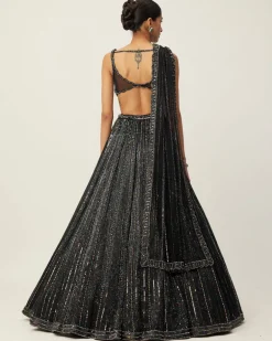 Black Crystal Linear Embroidered Lehenga Set