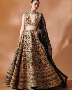 Black Multi Thread Embroidery Lehenga Set
