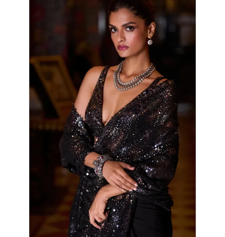 Black Multi-Coloured Sequin Sari