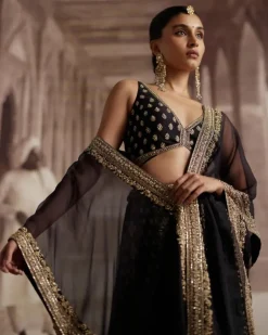 Black Organza Cape With Panel Sharara Set