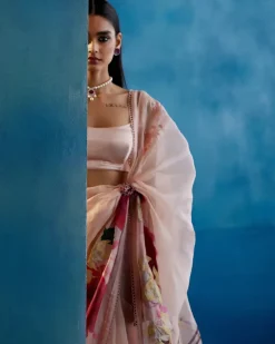 Blush Pink And Red Silk Organza Hand-Painted Embroidered Sari