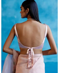Blush Pink And Red Silk Organza Hand-Painted Embroidered Sari