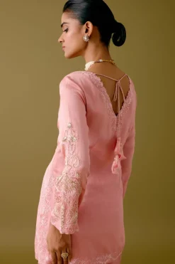 Blush Pink Dori Embroidered Gharara Set