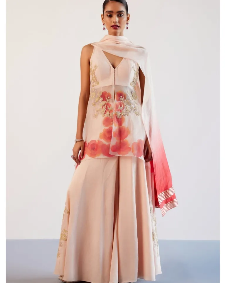 Blush Pink Silk Organza Hand-Painted Embroidered Sharara Set