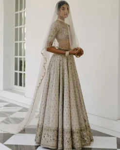 Booti & Jaal Panel Tissue Lehenga