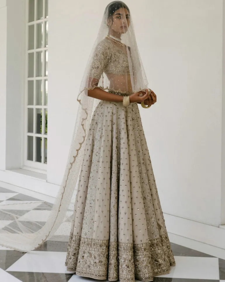 Booti & Jaal Panel Tissue Lehenga