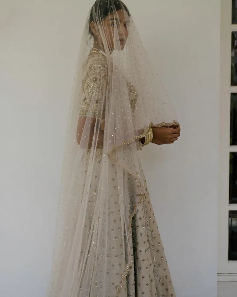 Booti & Jaal Panel Tissue Lehenga