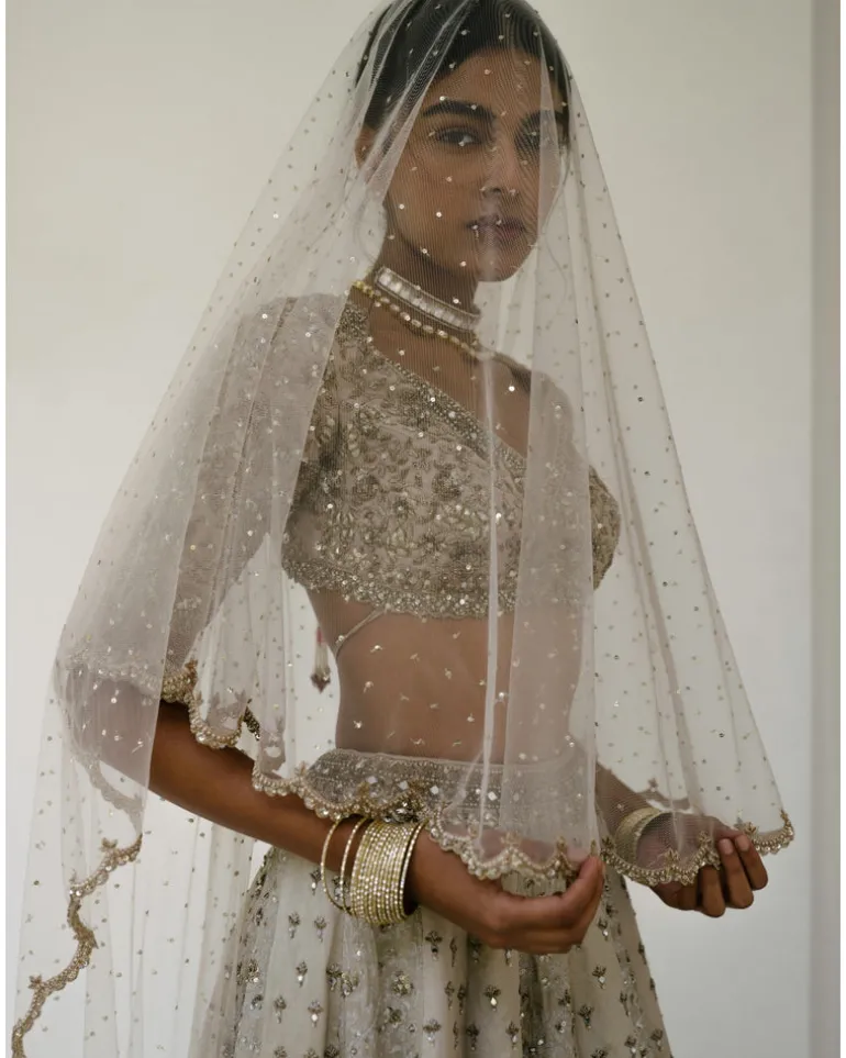 Booti & Jaal Panel Tissue Lehenga