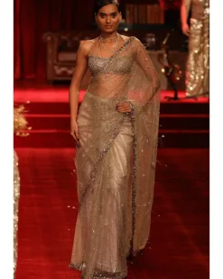 Carla Shimmer Tulle Sari Set
