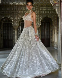 Champagne Mirror Work Lehenga Set