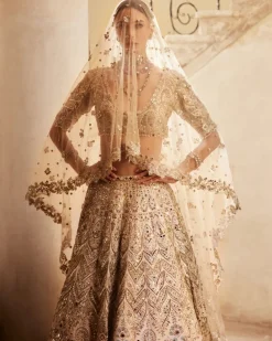 Champagne Raw Silk Mirror Lehenga Set