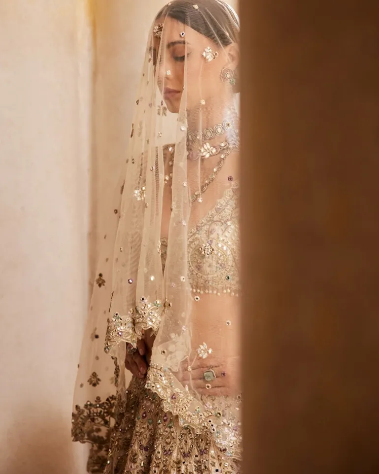 Champagne Raw Silk Mirror Lehenga Set