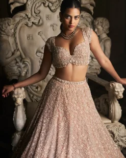 Champagne Sequin Lehenga Set