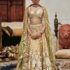 Chand Aayna Lehenga Set
