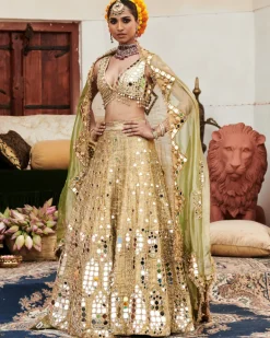 Chand Aayna Lehenga Set