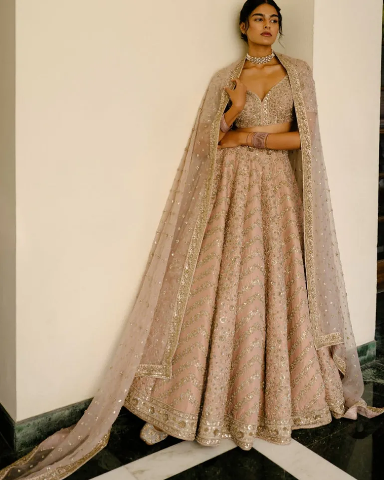 Chevron & Jaal Panel Lehenga
