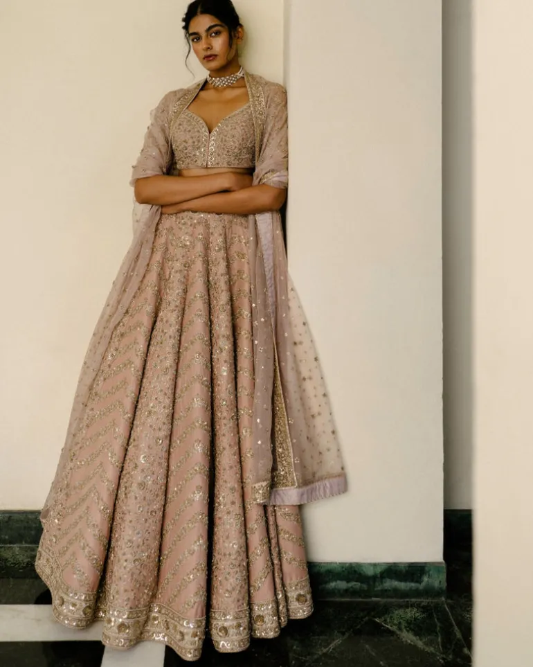 Chevron & Jaal Panel Lehenga