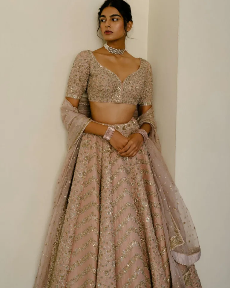 Chevron & Jaal Panel Lehenga