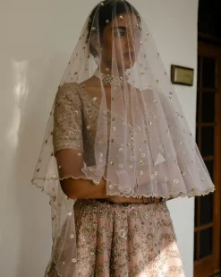 Chevron & Jaal Panel Lehenga