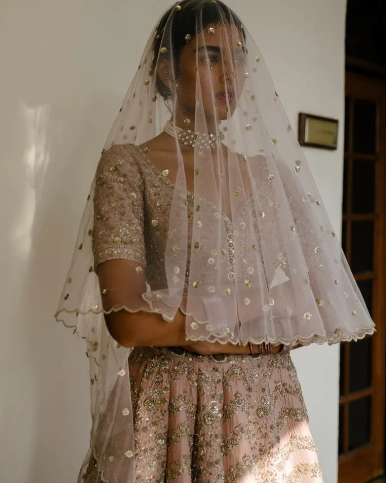 Chevron & Jaal Panel Lehenga