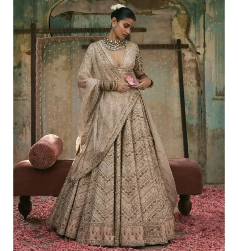 Chevron Lehenga With Jaal Sleeve Lehenga Set