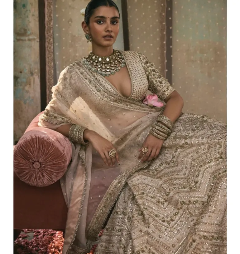 Chevron Lehenga With Jaal Sleeve Lehenga Set