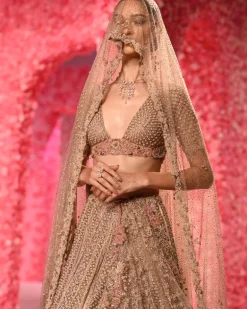 Chloe Shimmer Lehenga Set