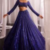 Cocktail Blue Crystal Linear Embroidered Lehenga Set