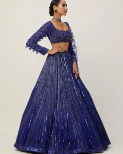Cocktail Blue Crystal Linear Embroidered Lehenga Set