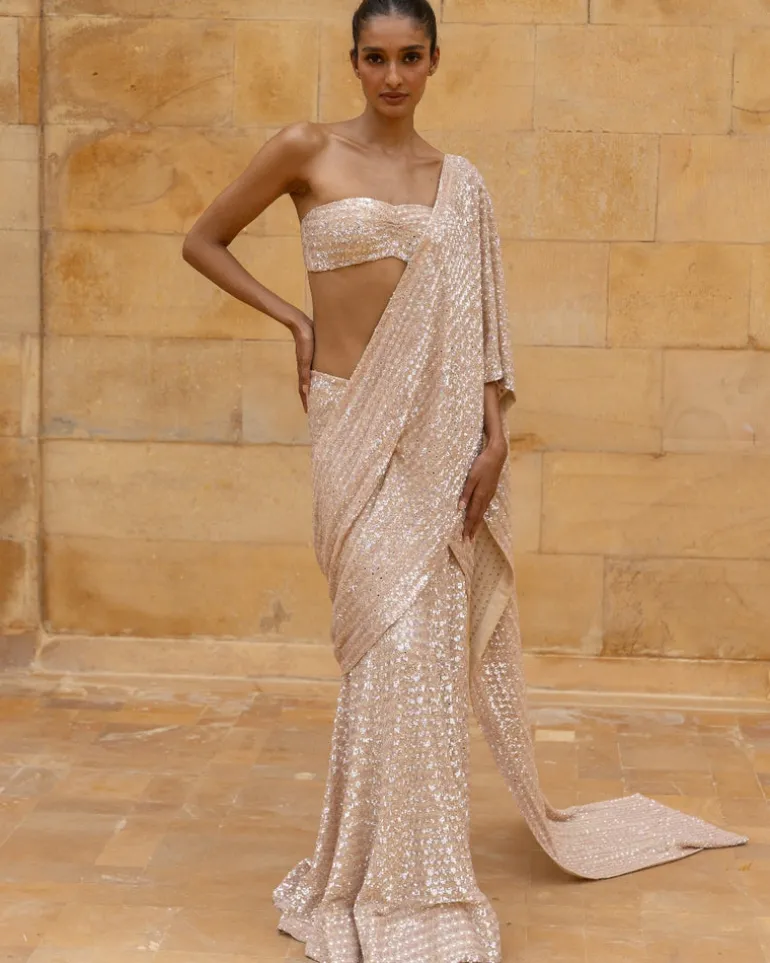 Coconut Embroidered Sequins Sari Set