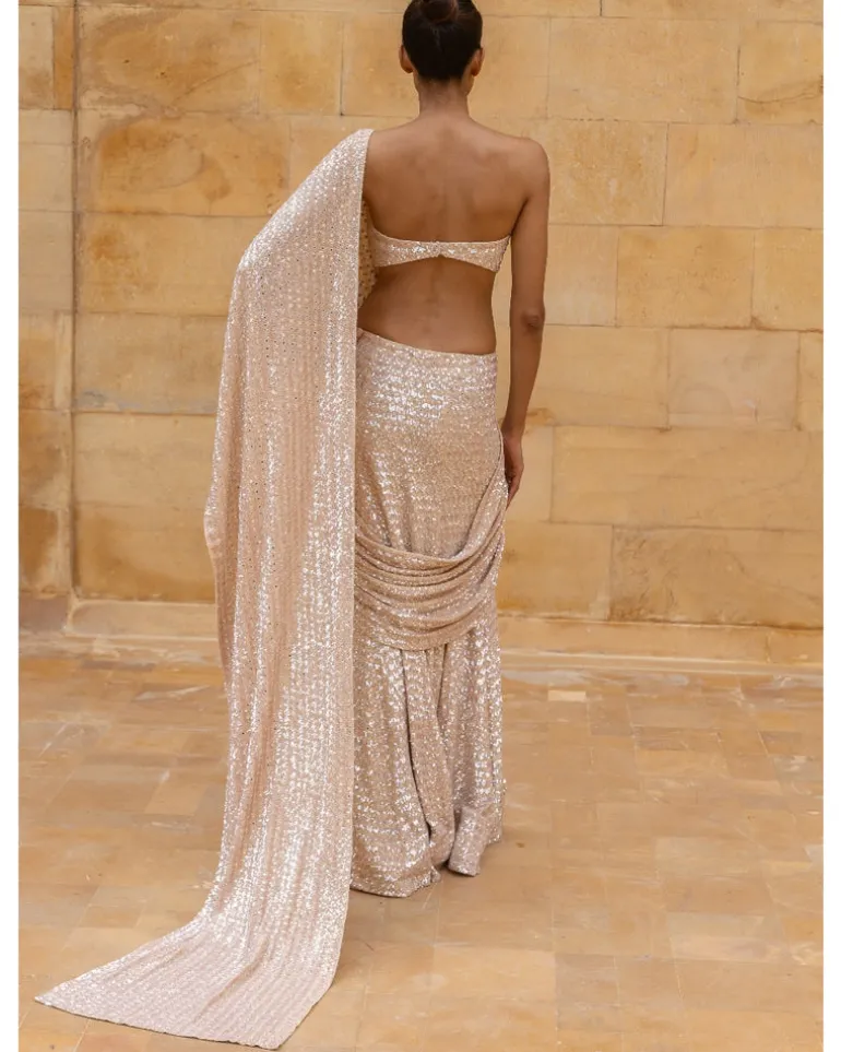 Coconut Embroidered Sequins Sari Set
