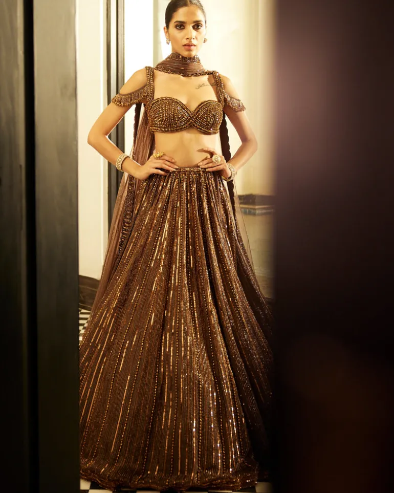 Copper Crystal Linear Embroidered Lehenga Set